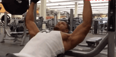 卧推示意图